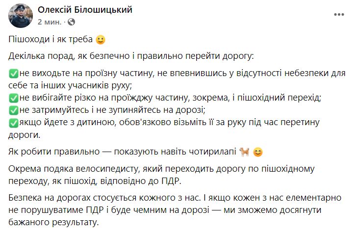 Почему некоторые собаки переходят дорогу по пешеходному переходу?